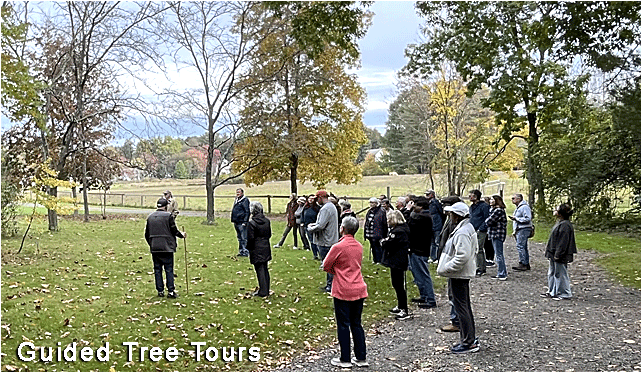 Guided Tours at the Westmoor Arboretum